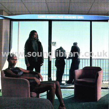 Skunk Anansie Post Orgasmic Chill EU Issue CD Virgin CDV2881 Front Inlay Image